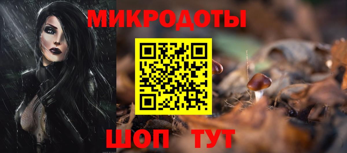 продажа наркотиков  Галлюциногенные грибы Psilocybine cubensis  Вход с VPN  Лесосибирск 